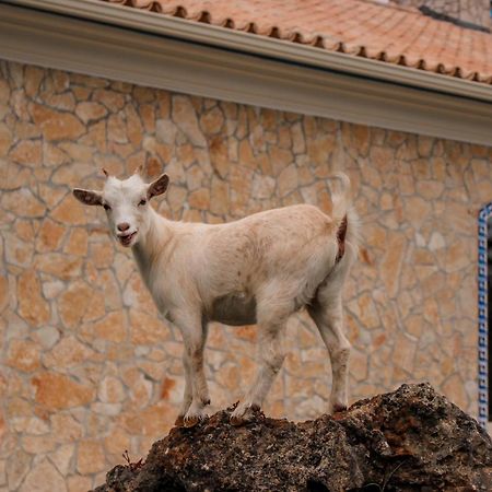 فيلا ليريافي Quinta Do Bamby المظهر الخارجي الصورة