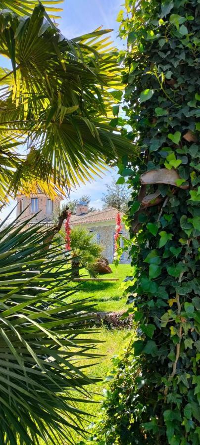 فيلا ليريافي Quinta Do Bamby المظهر الخارجي الصورة