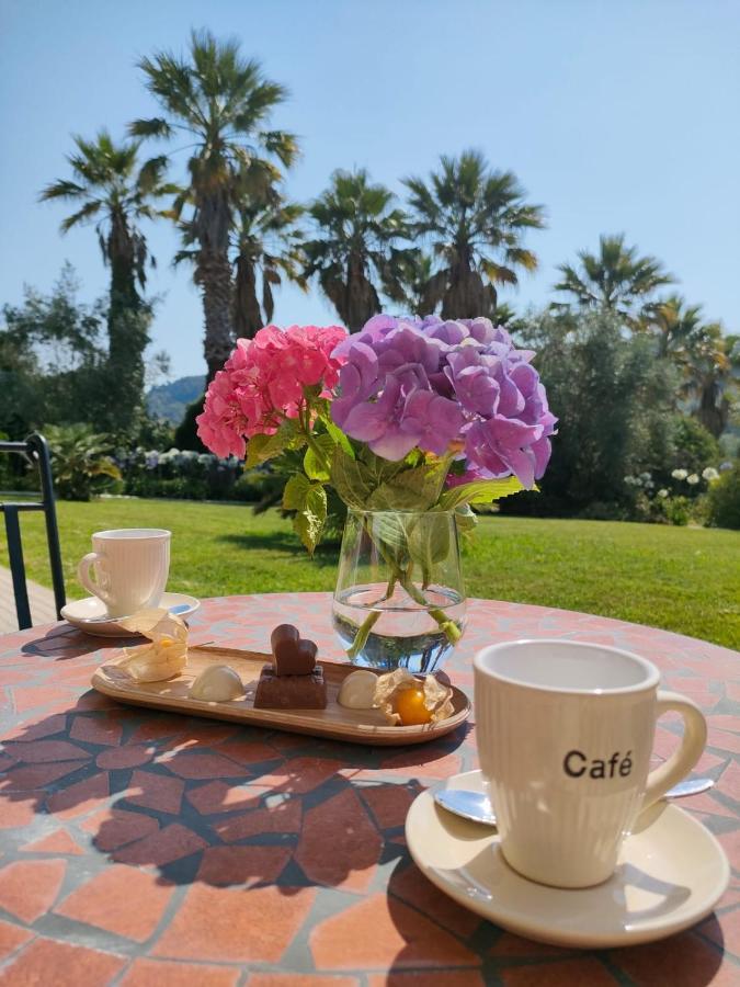 فيلا ليريافي Quinta Do Bamby المظهر الخارجي الصورة