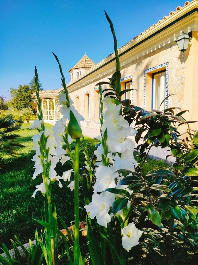 فيلا ليريافي Quinta Do Bamby المظهر الخارجي الصورة