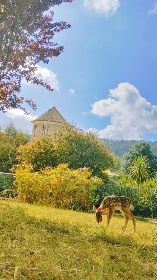 فيلا ليريافي Quinta Do Bamby المظهر الخارجي الصورة