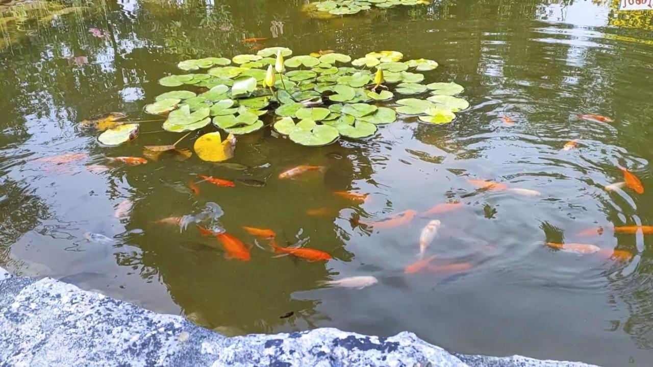 فيلا ليريافي Quinta Do Bamby المظهر الخارجي الصورة
