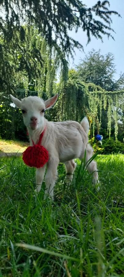 فيلا ليريافي Quinta Do Bamby المظهر الخارجي الصورة