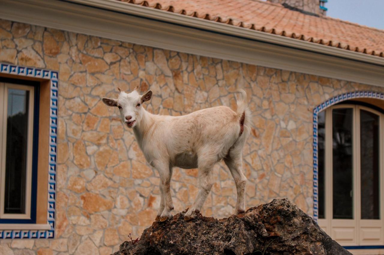فيلا ليريافي Quinta Do Bamby المظهر الخارجي الصورة